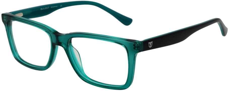 Akinių rėmeliai BULGET EYEWEAR BGT6205 51T01 (vyrams)