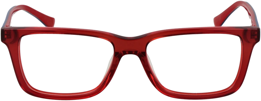 Akinių rėmeliai BULGET EYEWEAR BGT6205 51T03 (vyrams)