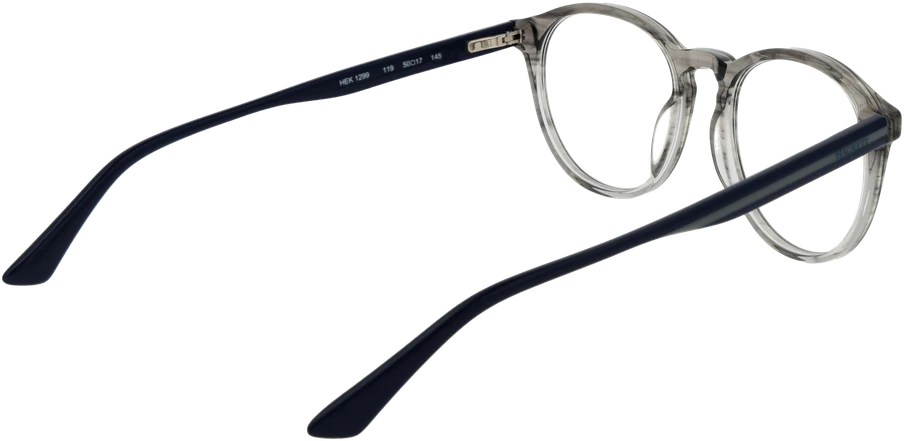 Akinių rėmeliai HACKETT EYEWEAR HEK1299 50119 (vyrams)