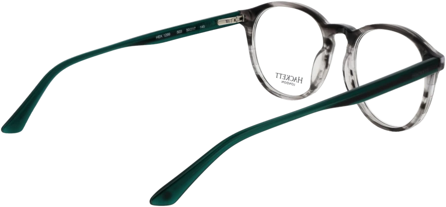 Akinių rėmeliai HACKETT EYEWEAR HEK1299 50503 (vyrams)