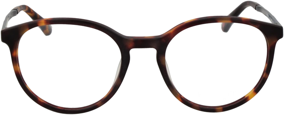 Akinių rėmeliai HACKETT EYEWEAR HEK1302 50190 (vyrams)