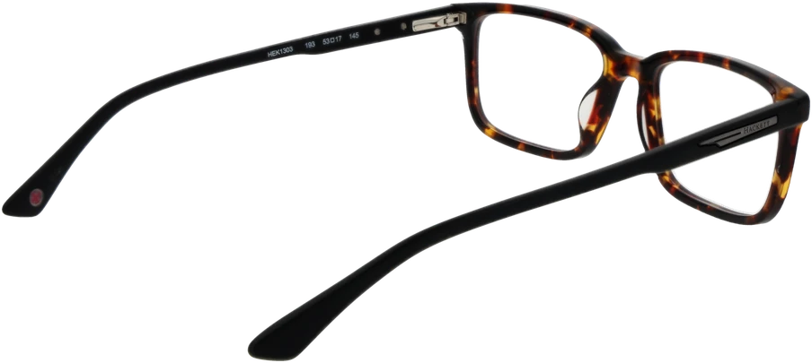 Akinių rėmeliai HACKETT EYEWEAR HEK1303 53193 (vyrams)