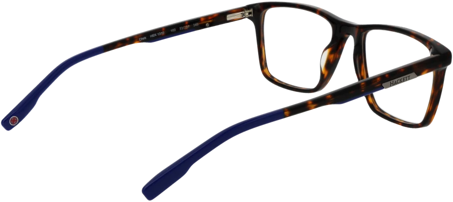 Akinių rėmeliai HACKETT EYEWEAR HEK1310 51103 (vyrams)
