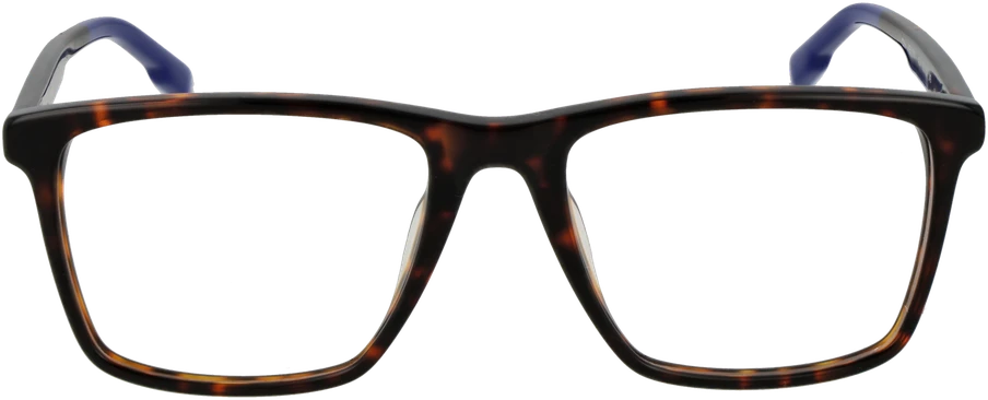 Akinių rėmeliai HACKETT EYEWEAR HEK1310 51103 (vyrams)