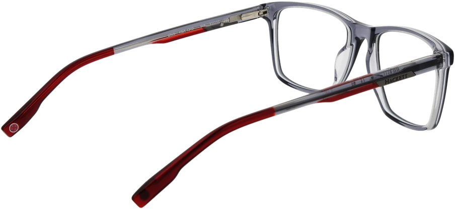 Akinių rėmeliai HACKETT EYEWEAR HEK1310 51946 (vyrams)