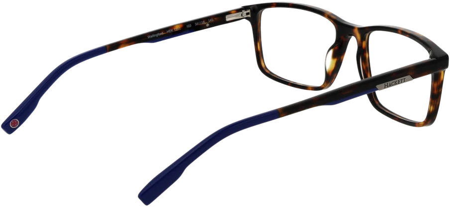 Akinių rėmeliai HACKETT EYEWEAR HEK1311 56103 (vyrams)