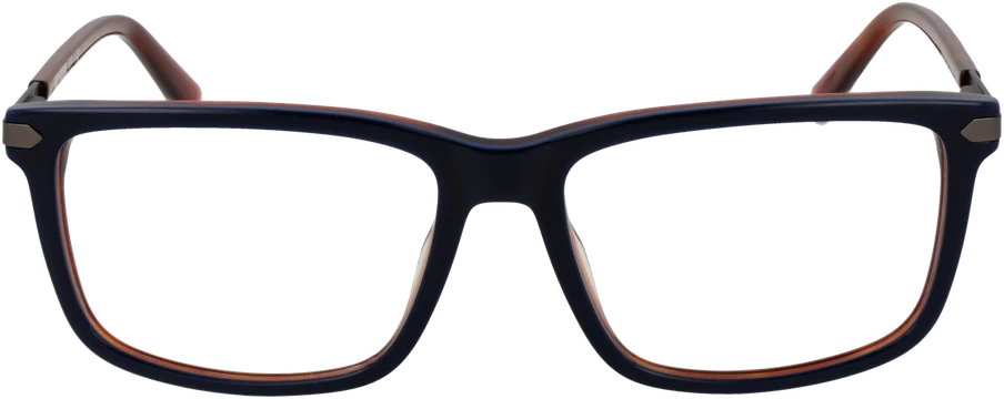 Akinių rėmeliai HARLEY DAVIDSON EYEWEAR HD50048 55092 (vyrams)
