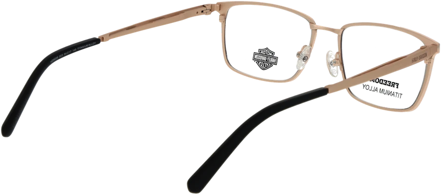 Akinių rėmeliai HARLEY DAVIDSON EYEWEAR HD9028 54003 (vyrams)