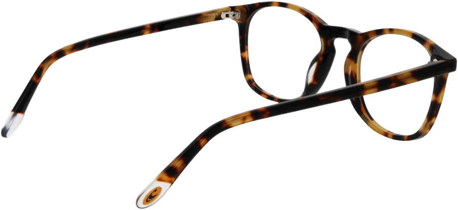 Akinių rėmeliai O'NEILL EYEWEAR ONB-4012 49102 (vyrams)