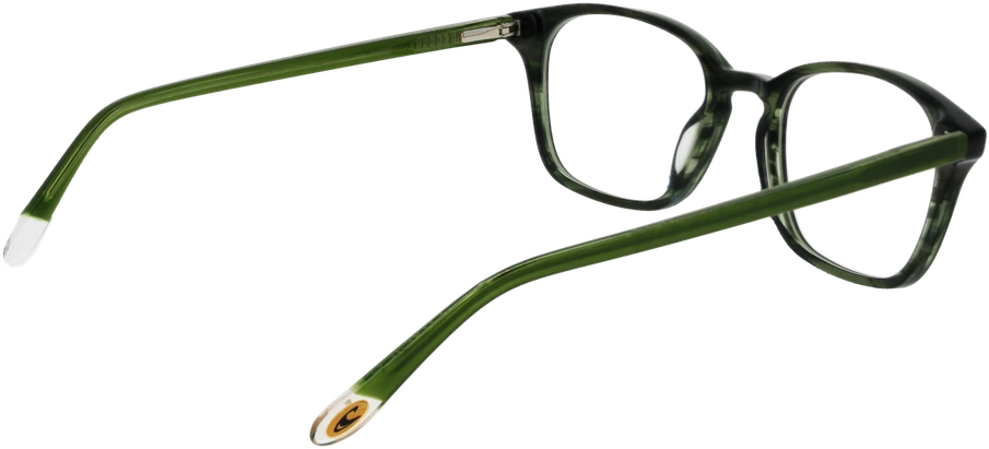 Akinių rėmeliai O'NEILL EYEWEAR ONB-4013 50107 (vyrams)