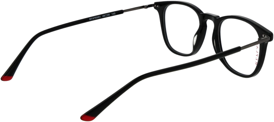 Akinių rėmeliai REPLAY EYEWEAR RY470V 4901 (vyrams)