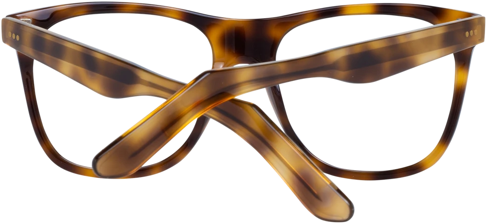 Akinių rėmeliai SANDRO PARIS EYEWEAR SD1004 53201 (vyrams)