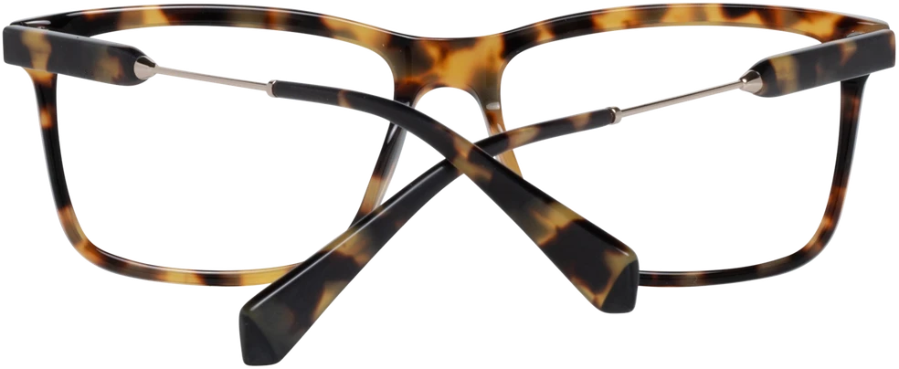 Akinių rėmeliai SANDRO PARIS EYEWEAR SD1009 56206 (vyrams)