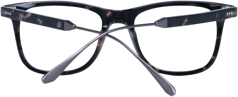 Akinių rėmeliai SANDRO PARIS EYEWEAR SD1024 50207 (vyrams)