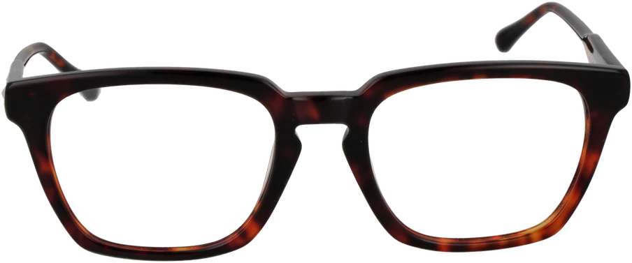 Akinių rėmeliai SANDRO PARIS EYEWEAR SD1035 53139 (vyrams)