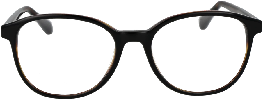 Akinių rėmeliai SANDRO PARIS EYEWEAR SD2038 53075 (vyrams)