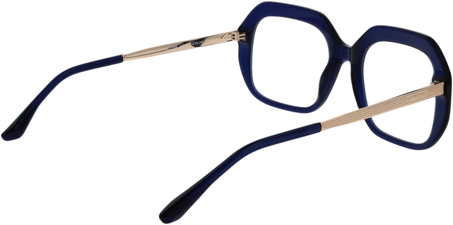 Akinių rėmeliai SANDRO PARIS EYEWEAR SD2048 54678 (moterims)