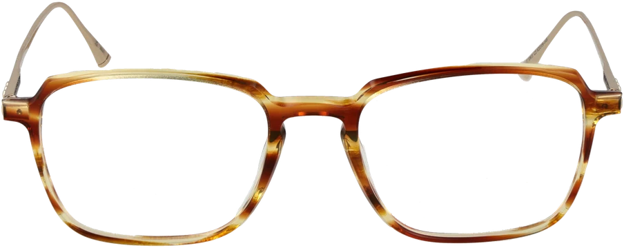 Akinių rėmeliai TAYLOR MORRIS EYEWEAR SW3 52C2 (vyrams ir moterims)