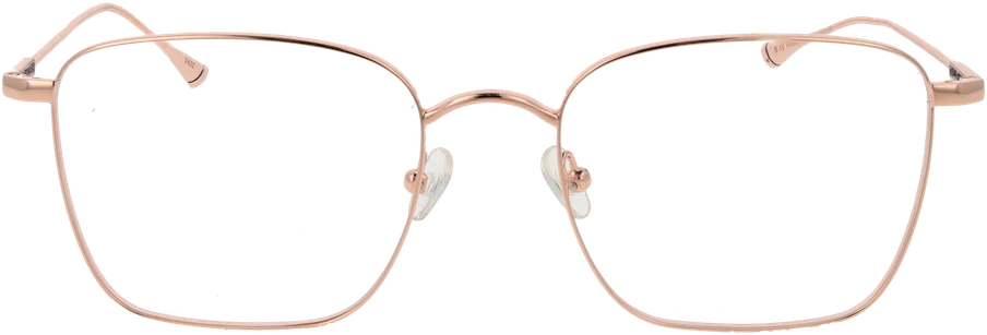 Akinių rėmeliai TAYLOR MORRIS EYEWEAR TM01 55C4 (vyrams ir moterims)