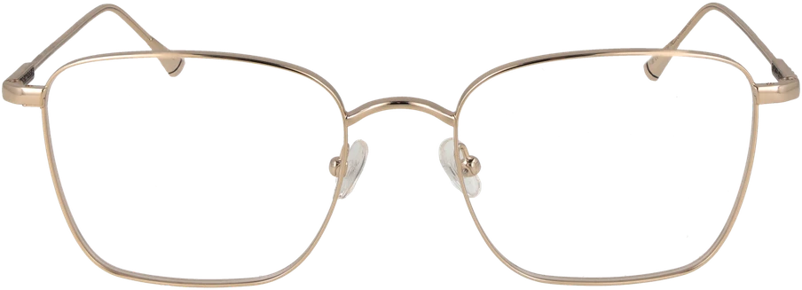 Akinių rėmeliai TAYLOR MORRIS EYEWEAR TM01 55C1 (vyrams ir moterims)