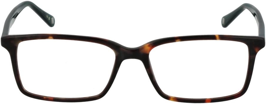 Akinių rėmeliai TED BAKER EYEWEAR TB8118 52145 (vyrams)