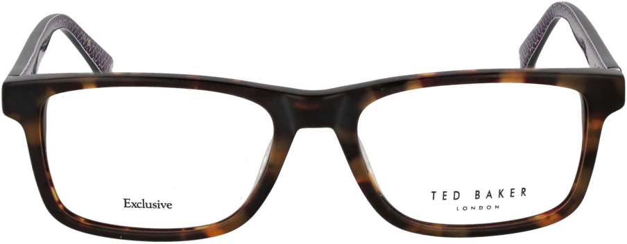 Akinių rėmeliai TED BAKER EYEWEAR TB8220 53145 (vyrams)