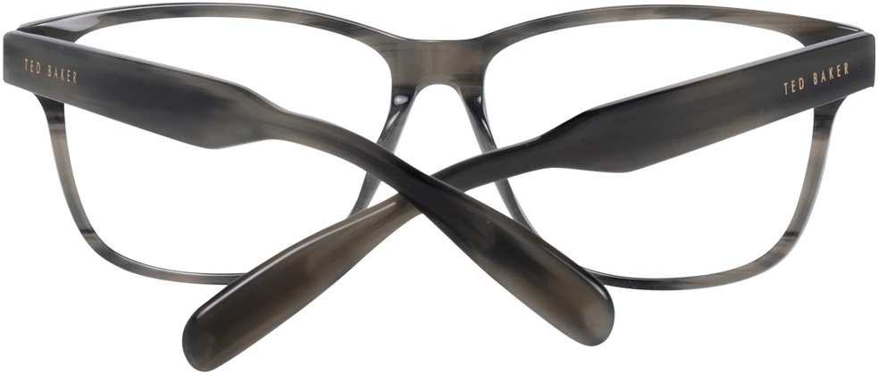 Akinių rėmeliai TED BAKER EYEWEAR TB8232 56953 (vyrams)