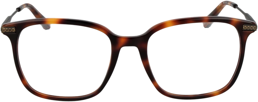 Akinių rėmeliai TED BAKER EYEWEAR TB8295 54407 (vyrams)
