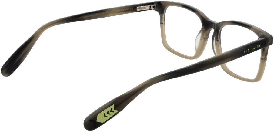 Akinių rėmeliai TED BAKER EYEWEAR TBB973 48960