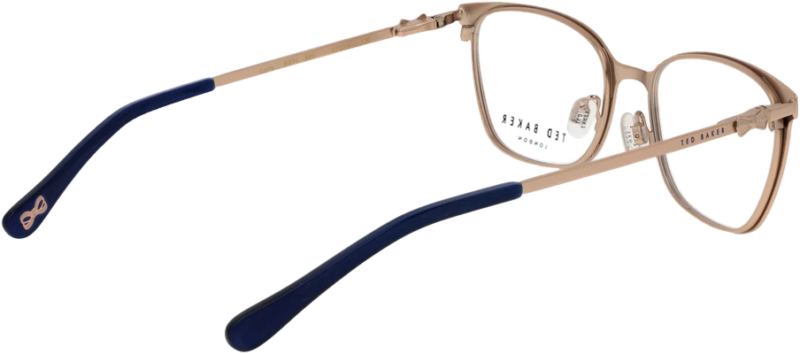 Akinių rėmeliai TED BAKER EYEWEAR TBB974 47689