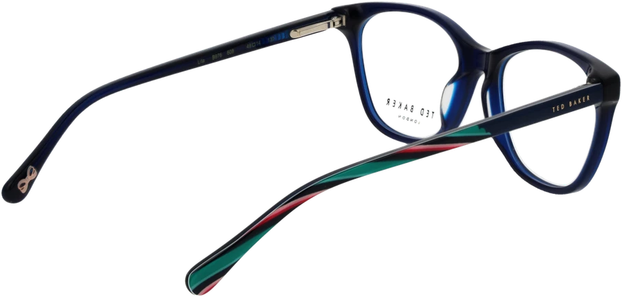 Akinių rėmeliai TED BAKER EYEWEAR TBB976 49608