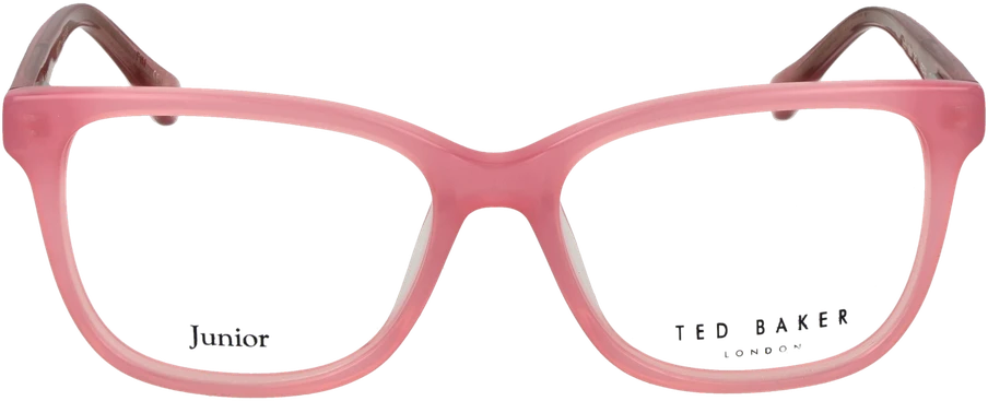 Akinių rėmeliai TED BAKER EYEWEAR TBB984 47242