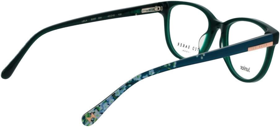 Akinių rėmeliai TED BAKER EYEWEAR TBB985 45594