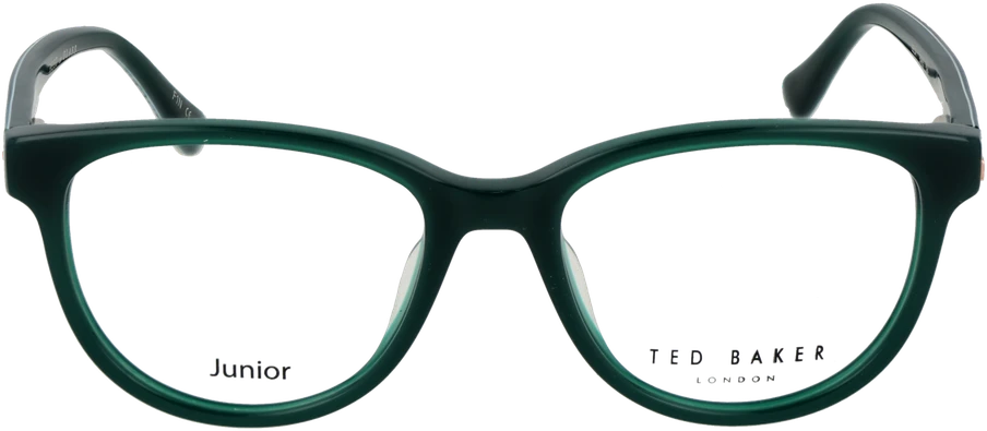 Akinių rėmeliai TED BAKER EYEWEAR TBB985 45594