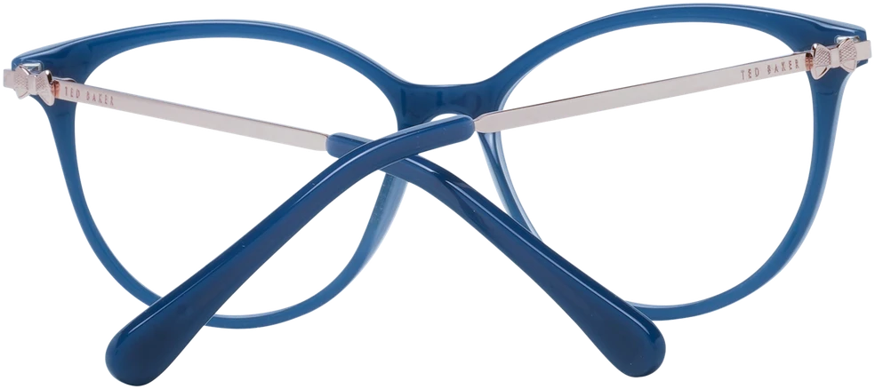 Akinių rėmeliai TED BAKER EYEWEAR TBB987 48601