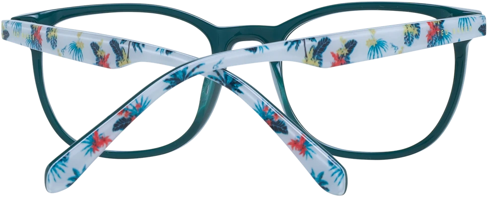 Akinių rėmeliai TED BAKER EYEWEAR TBB988 46575