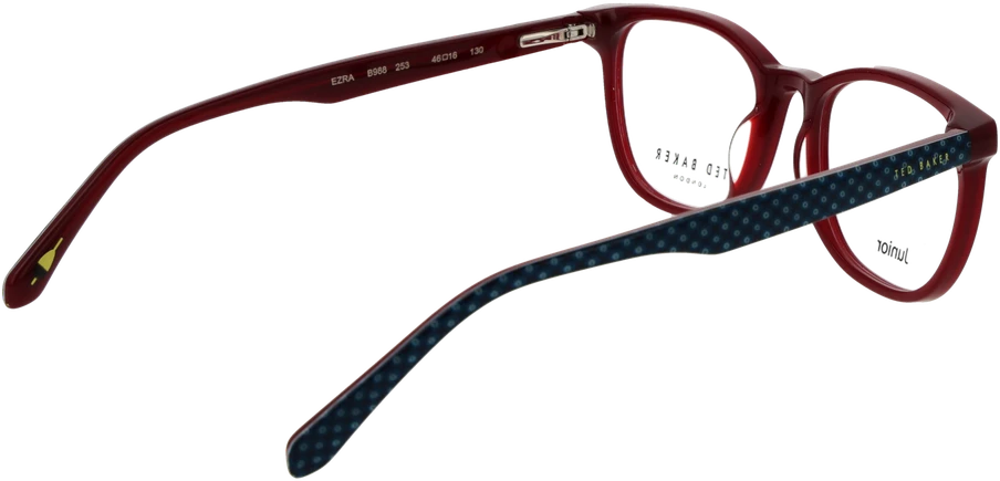 Akinių rėmeliai TED BAKER EYEWEAR TBB988 46253