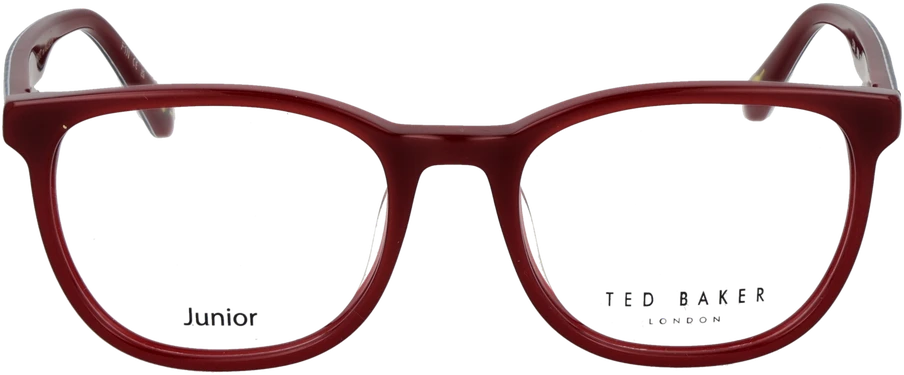Akinių rėmeliai TED BAKER EYEWEAR TBB988 46253
