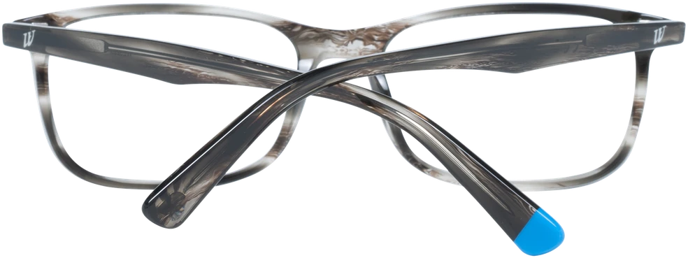 Akinių rėmeliai WEB EYEWEAR WE5223 55020 (vyrams)