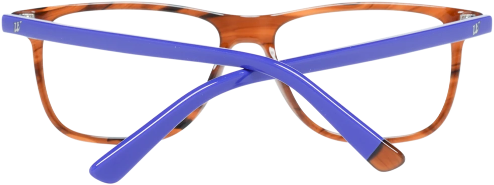 Akinių rėmeliai WEB EYEWEAR WE5224 54048 (vyrams)