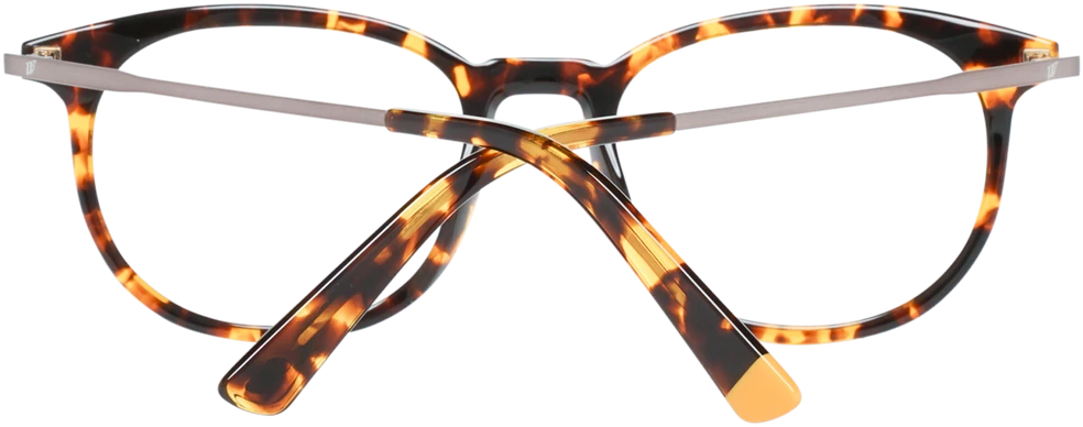 Akinių rėmeliai WEB EYEWEAR WE5246 52053 (vyrams)