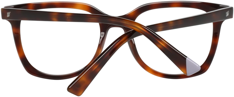 Akinių rėmeliai WEB EYEWEAR WE5260 49052 (vyrams ir moterims)