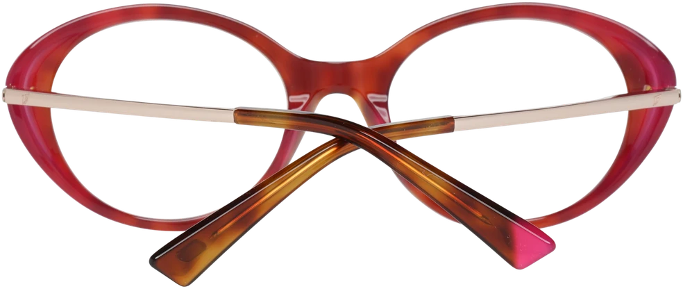 Akinių rėmeliai WEB EYEWEAR WE5302 5156B (moterims)
