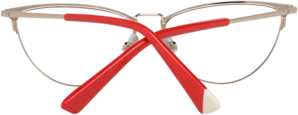 Akinių rėmeliai WEB EYEWEAR WE5304 54028 (moterims)