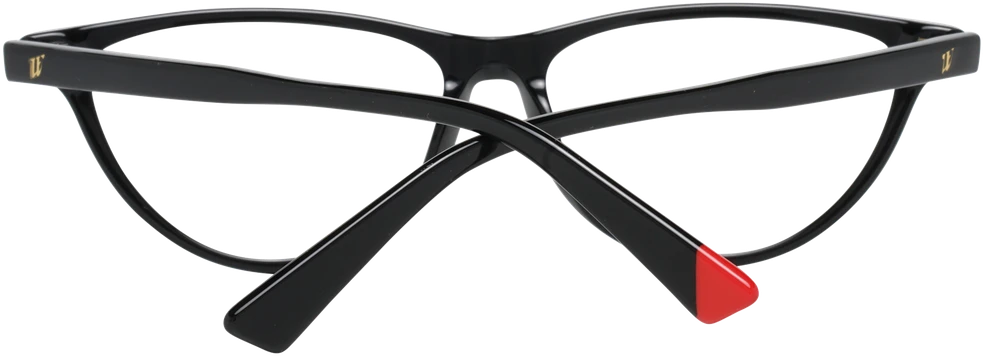Akinių rėmeliai WEB EYEWEAR WE5305 55001 (moterims)