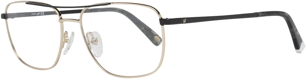 Akinių rėmeliai WEB EYEWEAR WE5318 55032 (vyrams)