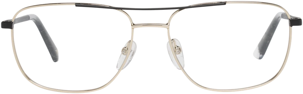 Akinių rėmeliai WEB EYEWEAR WE5318 55032 (vyrams)