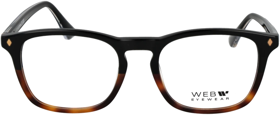 Akinių rėmeliai WEB EYEWEAR WE5386 54056 (vyrams)