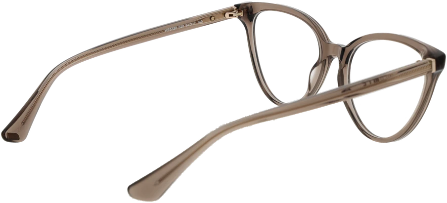 Akinių rėmeliai WEB EYEWEAR WE5388 54020 (moterims)