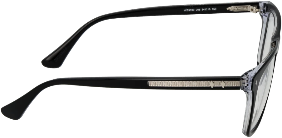 Akinių rėmeliai WEB EYEWEAR WE5399 54005 (vyrams ir moterims)